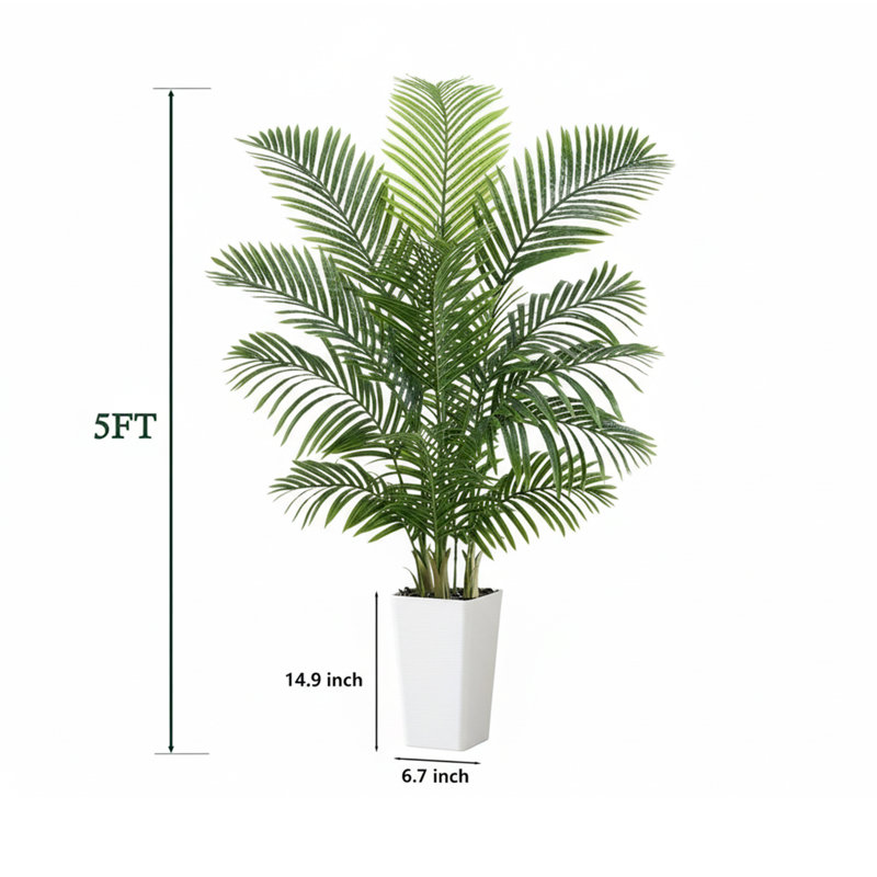 150cm Plant