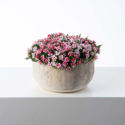 Faux Floral in Pot