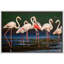 Flamants roses vibrantes, safari et jungle-93629611-93629613