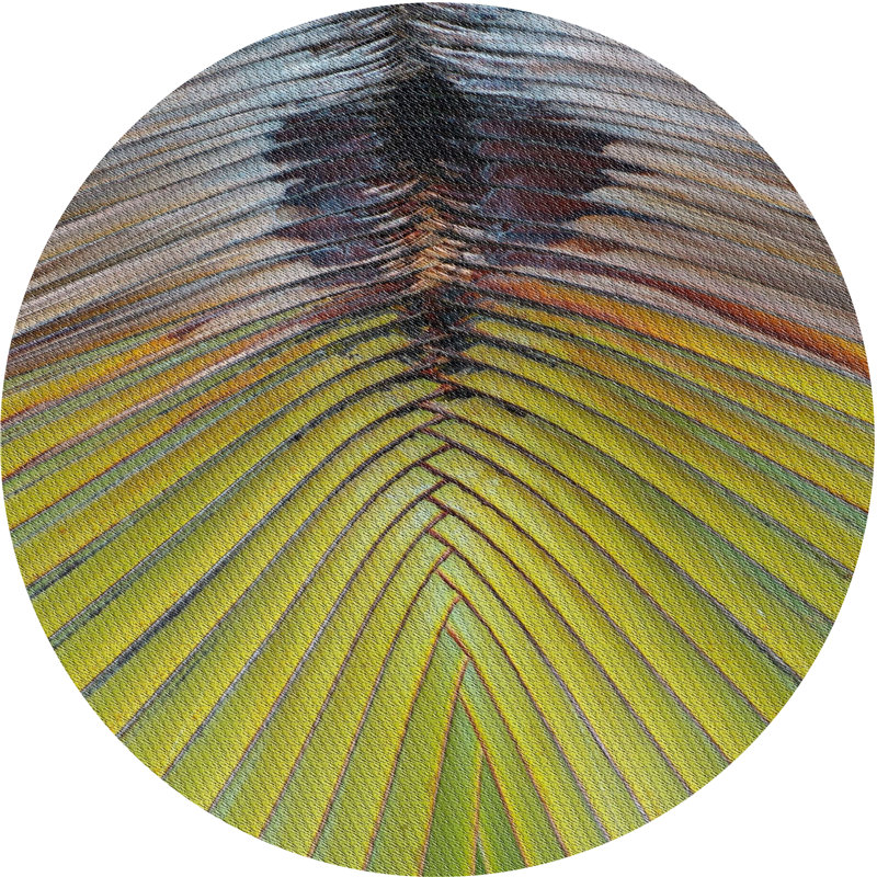 Leta Green/Brown Area Rug, Round 6'