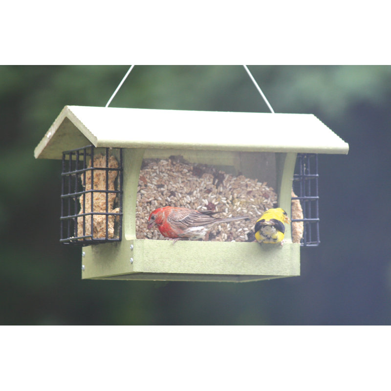 Medium Hopper Bird Feeder with Suet Cages in Green Recycled Plastic, 8" H x 8.75" W x 13" D