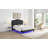 Queen Upholstered Platform Bed
