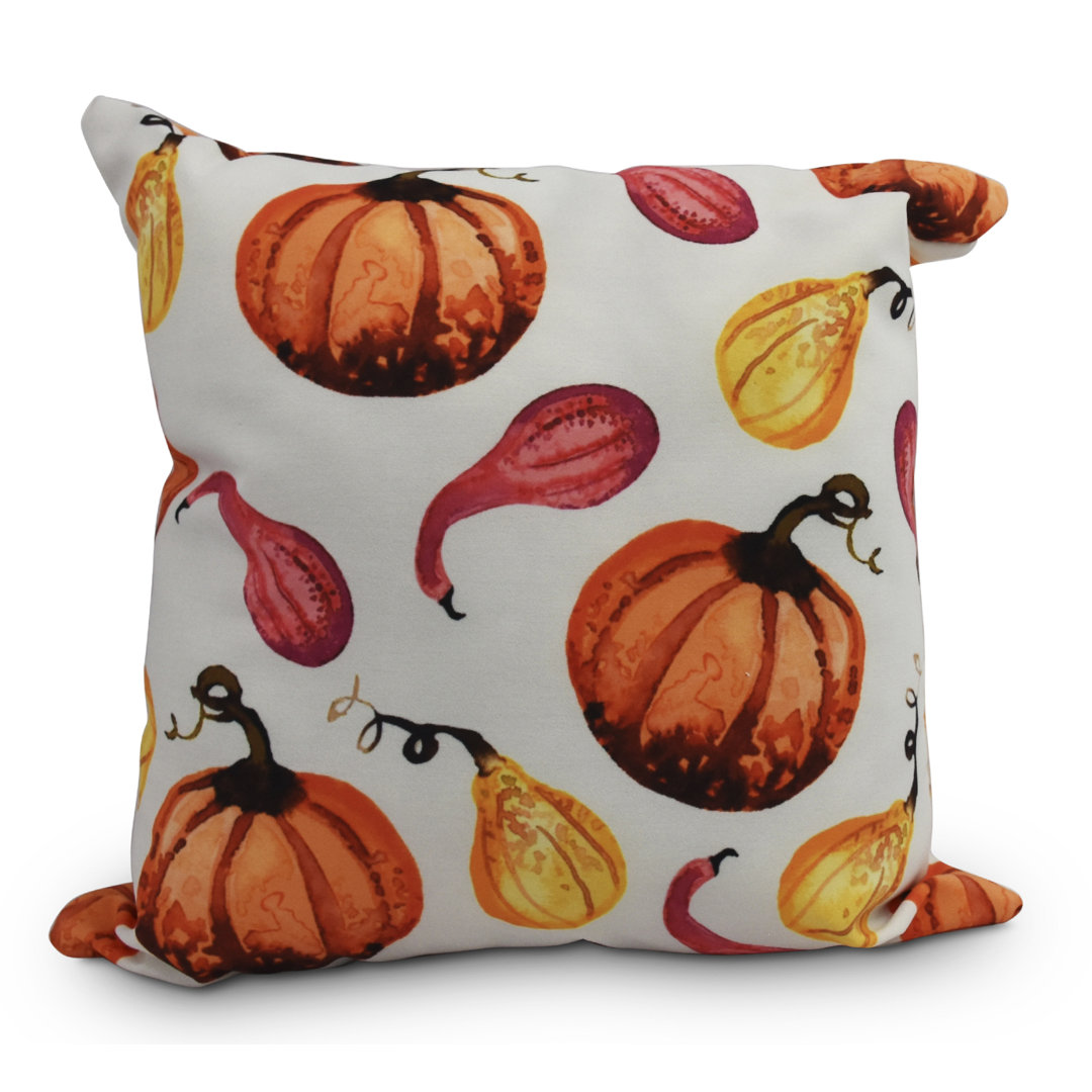 Bigner Gourds Galore Fall Outdoor Square Pillow Cover & Insert e by design 
