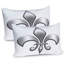 Ensemble de 2 taies décoratives Ambesonne-99906445