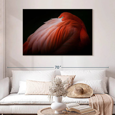 Brampt timide flamant rose
