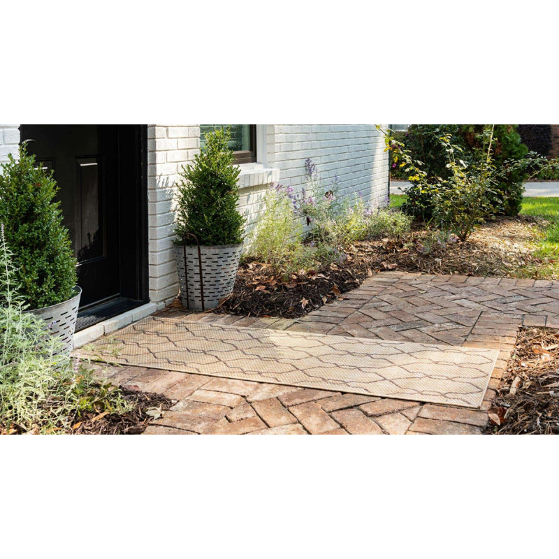 Outdoor Preen Area Rug Camel Color, Runner 2' x 6'