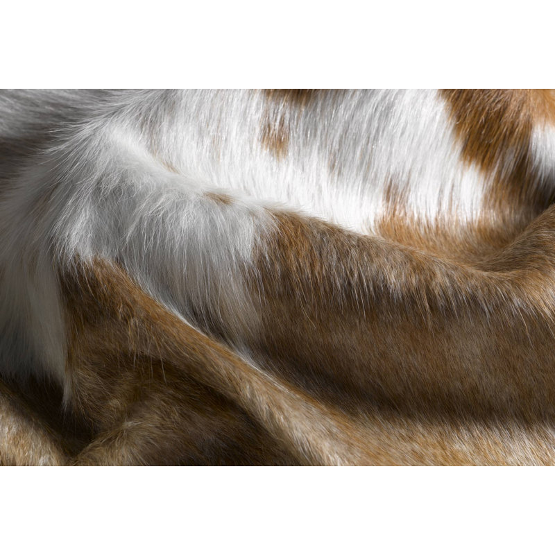 Angelou 6' X 7' Brown and White Genuine Cowhide Area Rug, Novelty 5' x 7'