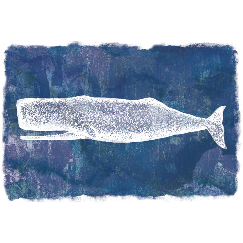 Distressed Whale - Wrapped Canvas Print, 81cm H x 122cm W x 3.8cm D