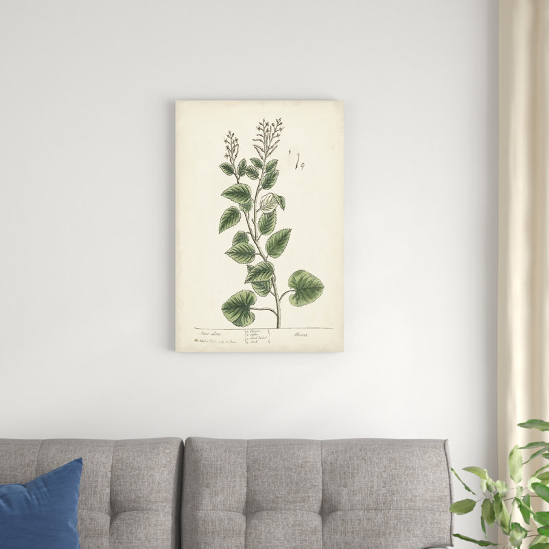Herbes antiques III, H 30 po x l 20 po