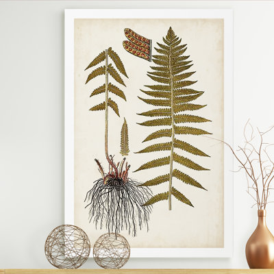 " Fern Botanical V "