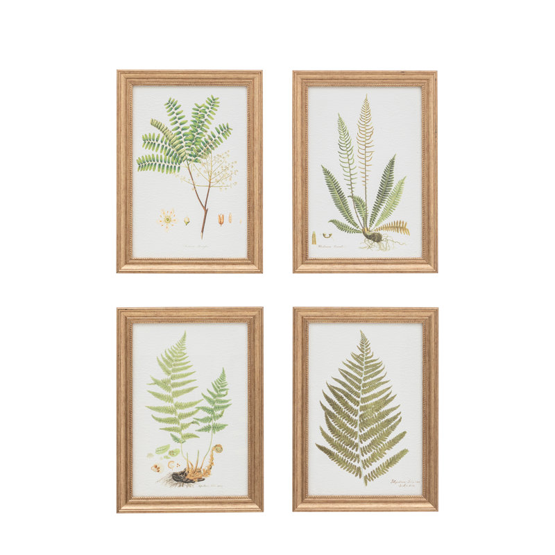 Assorted Ferns Framed Art