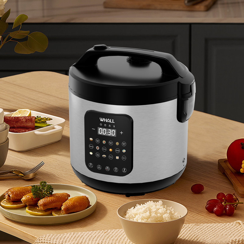 Cuiseur à riz et à vapeur numériques WHALL de 10 tasses, capacité de cuisson de 20 tasses, multifonction avec réglages de cuisson lente et d'avoine, maintien automatique au chaud
