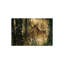 A Golden Moment - Whitetail Deer, Horizontal par Collin Bogle - impression d'art graphique sur-231821918