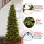 Arbre de Noël artificiel épinette illuminé 6 pi avec lumières claires North Valley