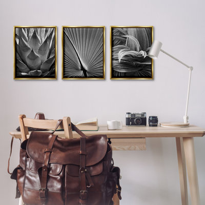  Ensemble de 3 toiles flottantes encadrées Palm Frond par Chip Forelli