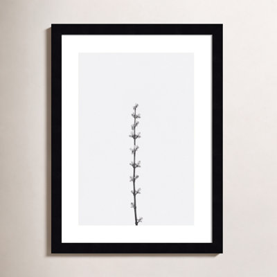 Retro Tennessee Botanical No 1 Photo Print