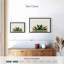 Plante grasse en pierre-267397887-267397885