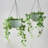 Hanging Planter-1286674576