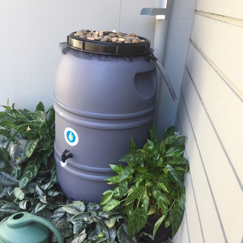 Baril d'eau de pluie 60 gallons