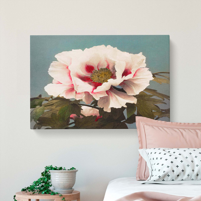 Pink Tree Peony by Kazumasa Ogawa - Wrapped Canvas, 35cm H x 50cm W x 3cm D
