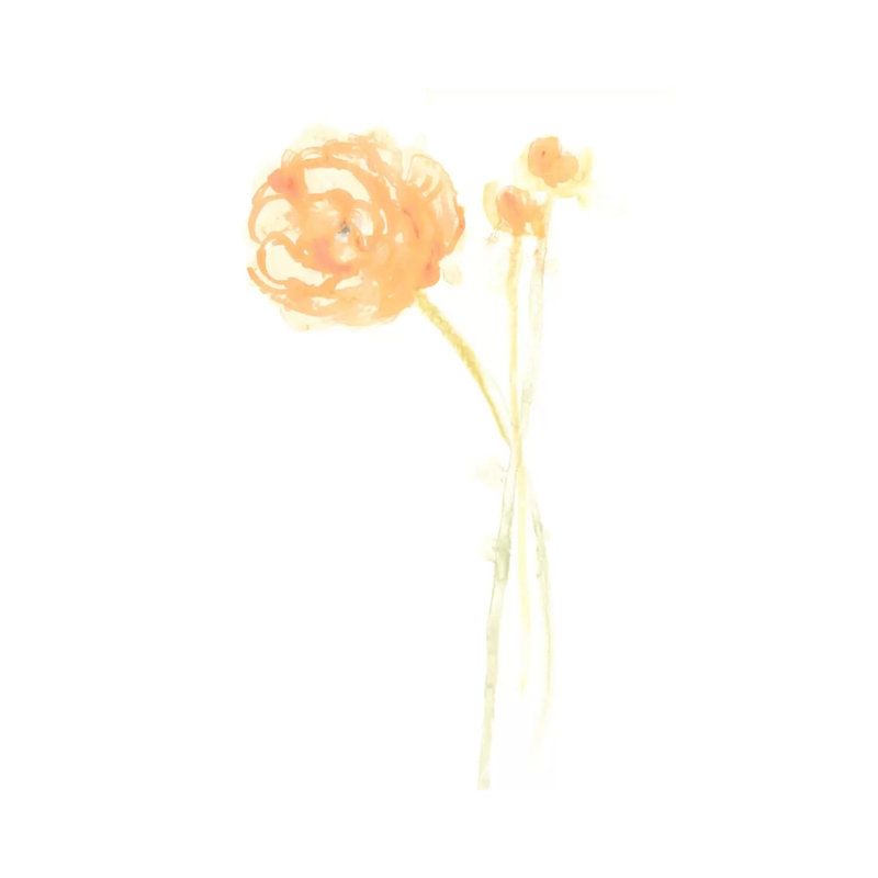 Bouquet Blush IV by June Erica Vess - Wrapped Canvas Print, 20.32 cm H x 30.48 cm W