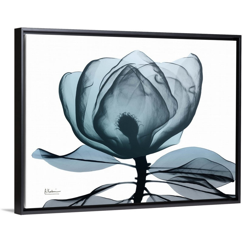 «Midnight Magnolia I» par Albert Koetsier, reproduction sur toile, H 32 po x l 42 po x P 1,75 po, Cadre noir