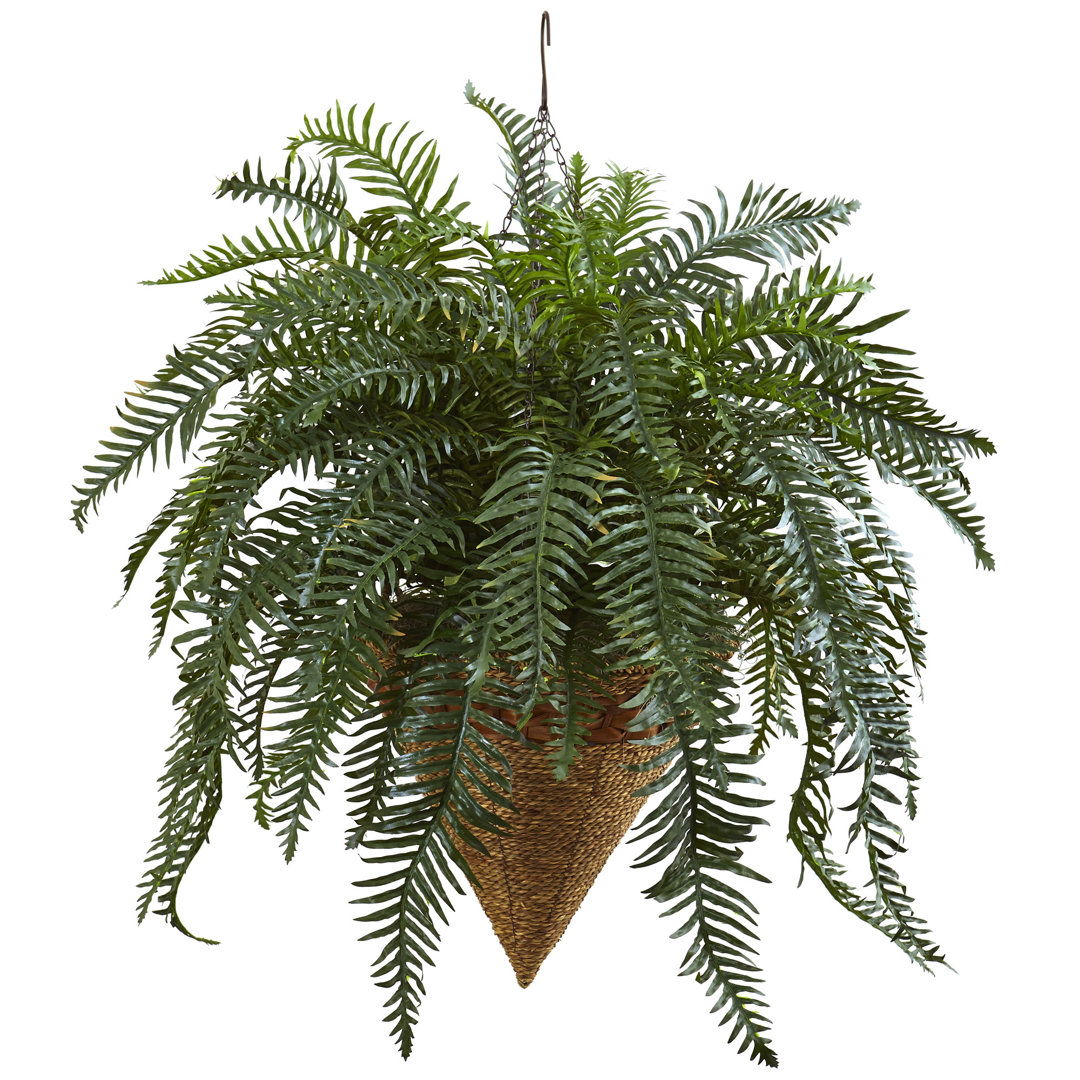 19" Artificial Fern Plant in Basket Primrue 