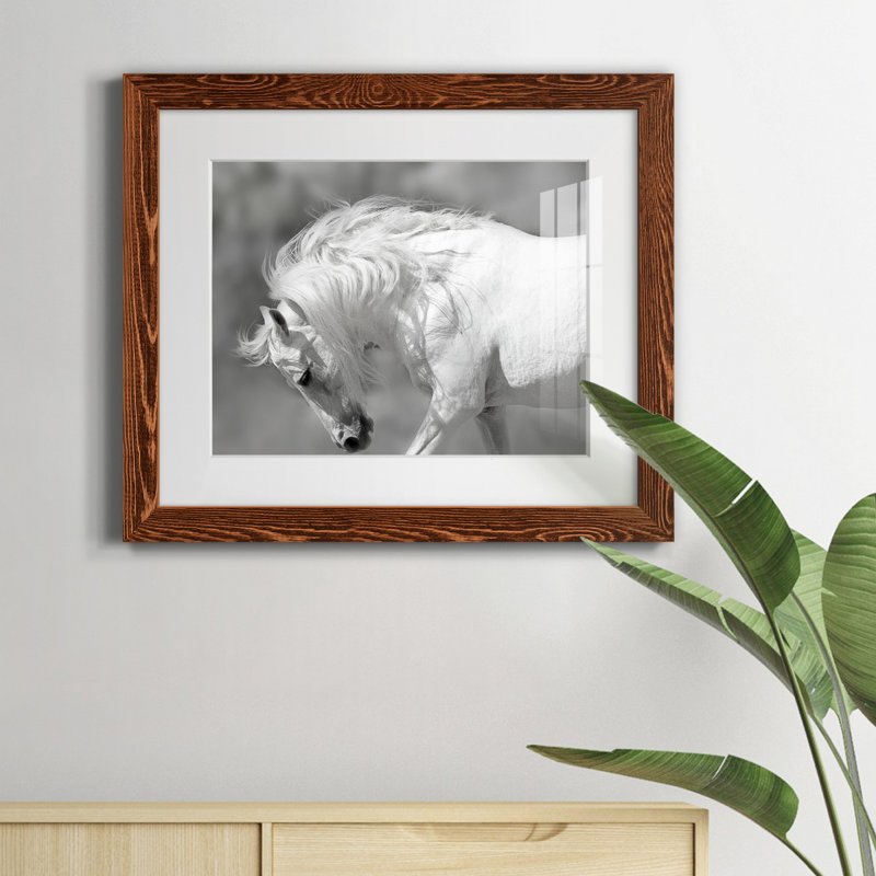 " White Stallion ", 24" H x 18" W x 1.5" D, Maple Framed Paper