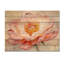 Nénuphar, pivoine, simplicité, floraison I, pivoines, décoration murale en bois, sur bois de pin naturel-1165734667