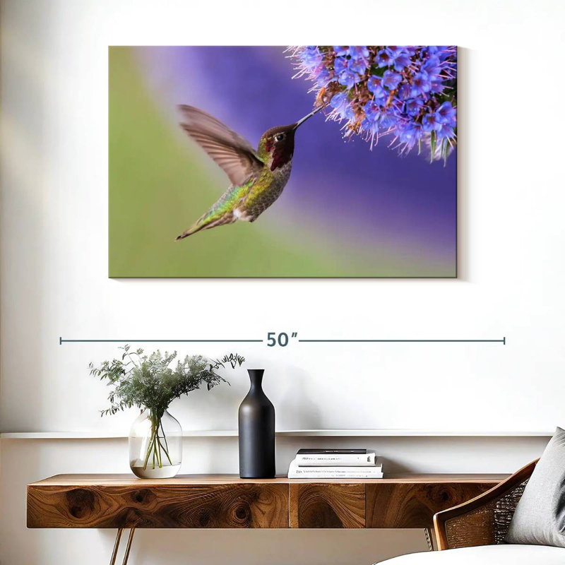 Nectar Brampt sirotant un colibri, H 26 po x l 39 po
