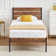 Alicia Platform Bed Frame with Wood Headboard and Footboard No Box Spring Needed