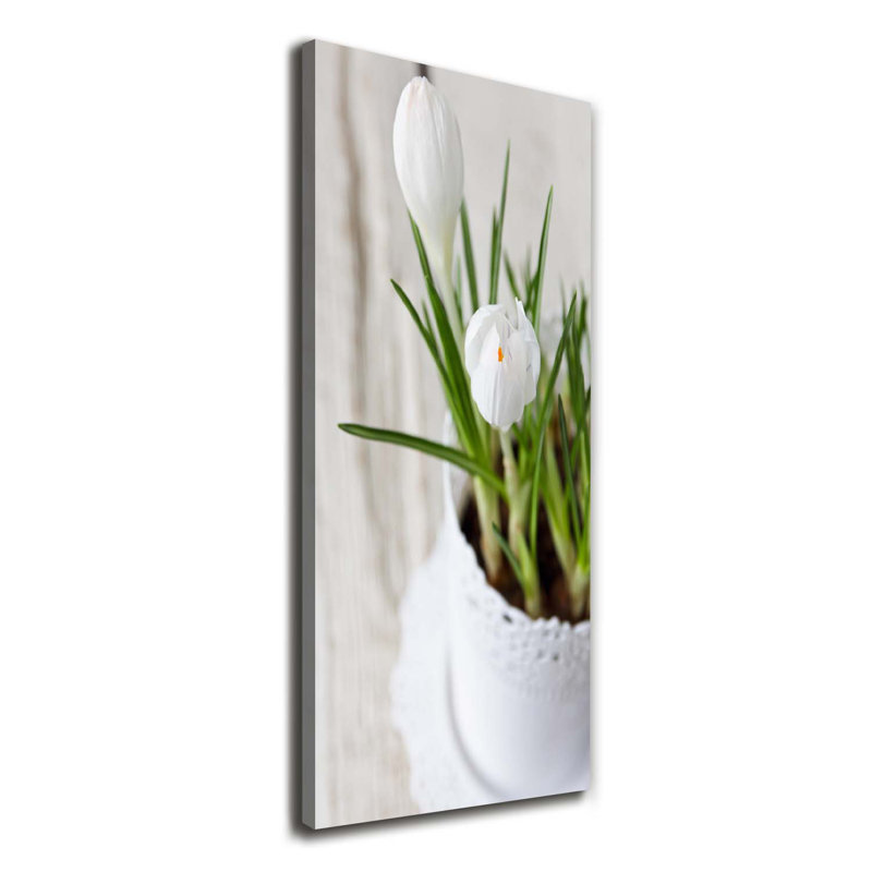 White Crocuses - Wrapped Canvas Print