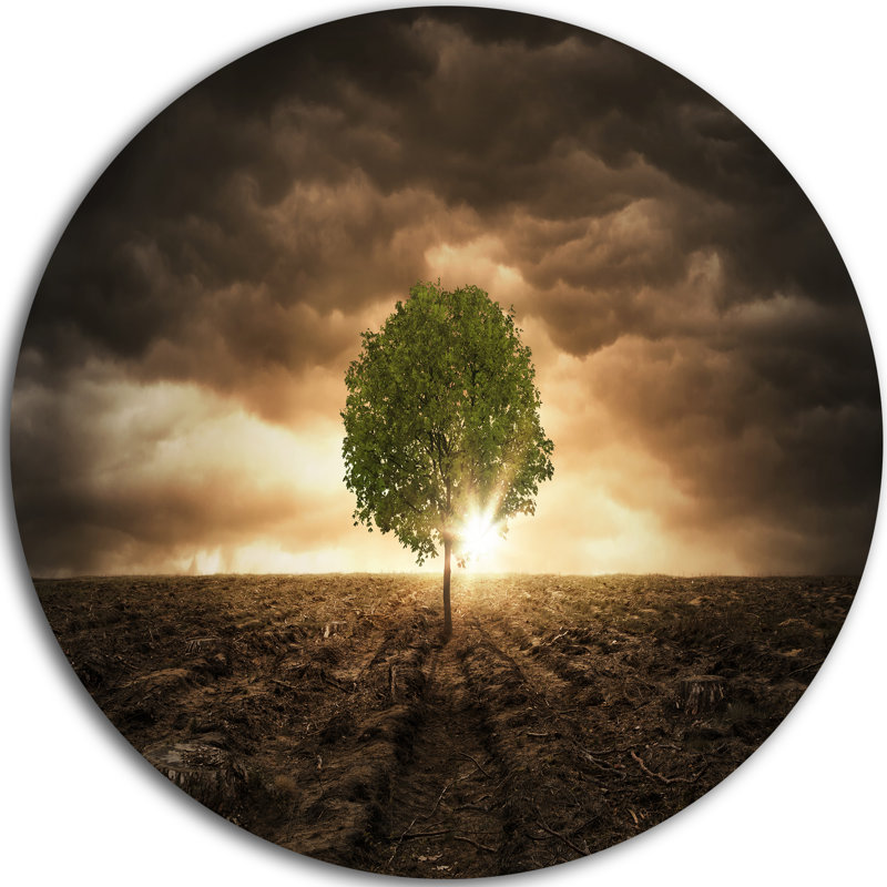 « n’tree », impression sous un motif ciel spectaculaire», H 36 po x l 36 po x P 1 po, Métal