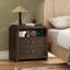 Cevat 23.6'' Rattan End Table with Ample Storage, Boho Nightstand with Charging Station-1377570193