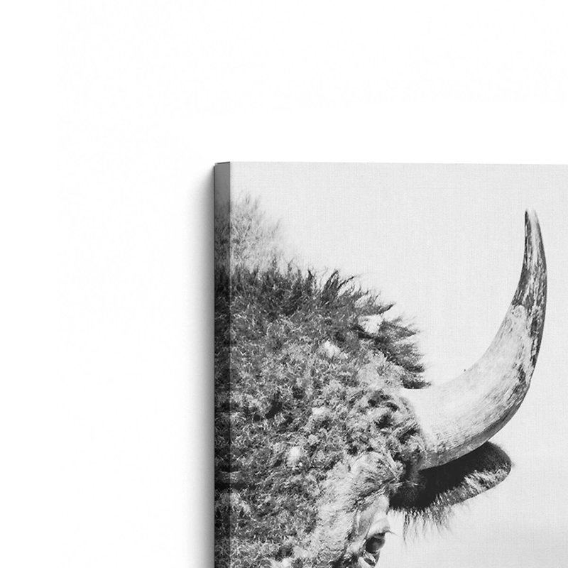 Wild Stare Stretched Canvas Print, 18" H x 12" W x 1.25" D, Wrapped Canvas
