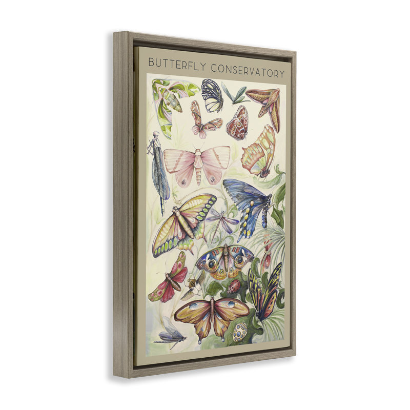 Cadre flottant vintage avec conservateur papillon, design par DIannart, H 25 po x l 17 po, Cadre flottant orme Montalcino