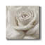«Dreamy II», reproduction d'art sur toile tendue-2139580505