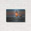 Mur en métal «Sunrise Steaming» par Rick Berk-886495566