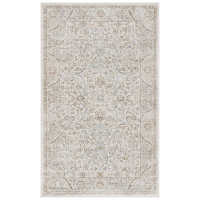 Aayushi Performance Oriental Rug