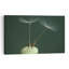 Delicate Dandelion Seeds Abstract Delicate Organic Dandelion Nature Wall Art Print 1 Piece Wrapped Canvas Wall Art-1707452612