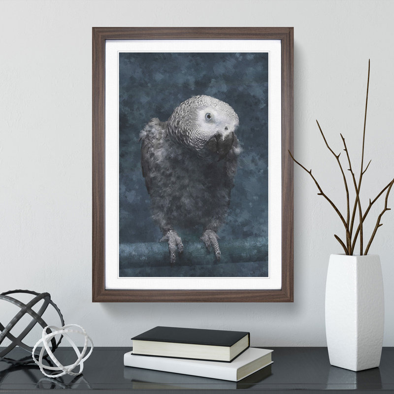 African Grey Parrot - Picture Frame Graphic Art, 65cm H x 48cm W x 2cm D, Walnut Framed