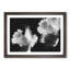 Pair of Daffodils 1 Piece Single Picture Frame Wall Art on MDF-56704718-56704719
