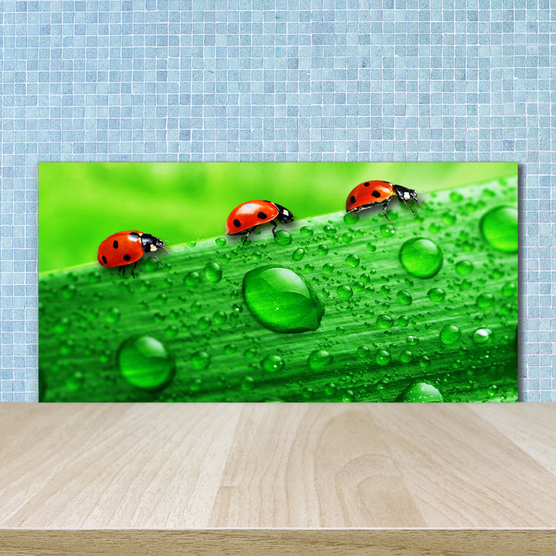 50cm W x 100cm L Glass Peel and Stick Panel