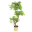 Faux Plant-7586059-59295564