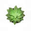 Plantes artificielles en pot 6 po