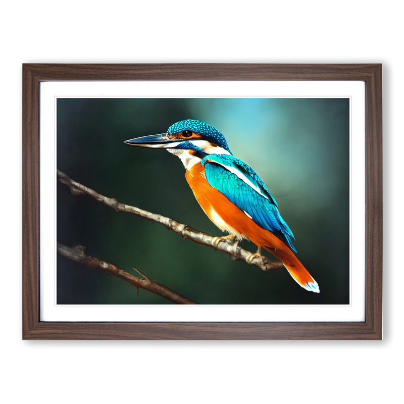 Unbeatable Kingfisher Bird - Framed Print, 25cm H x 34cm W x 2cm D, Walnut Framed