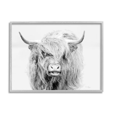 Portrait expressif d'animaux monochromes de Highland - photographie à cadre flottant sur toile
