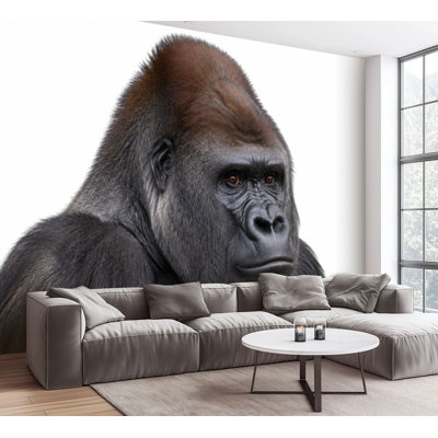Wall Mural Peel and Stick Wallpaper Western lowland gorilla Gorilla close up male against Self-Adhesive Removable Contact Paper Wall Decor for Living Room Bedroom 100"H x 144"W