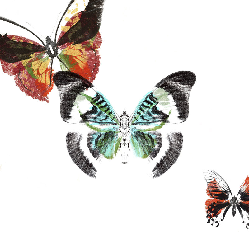 Butterflies Dance III, H 20 po x l 20 po x P 1,25 po