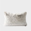 Ensemble de 1 housse de coussin de luxe en fausse fourrure de chinchilla de luxe, 20 po x 20 po-116784788-125421069